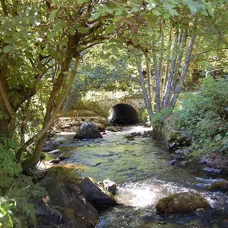 Chambres D'Hotes A L'Etang D'Yonne Arleuf Bagian luar foto