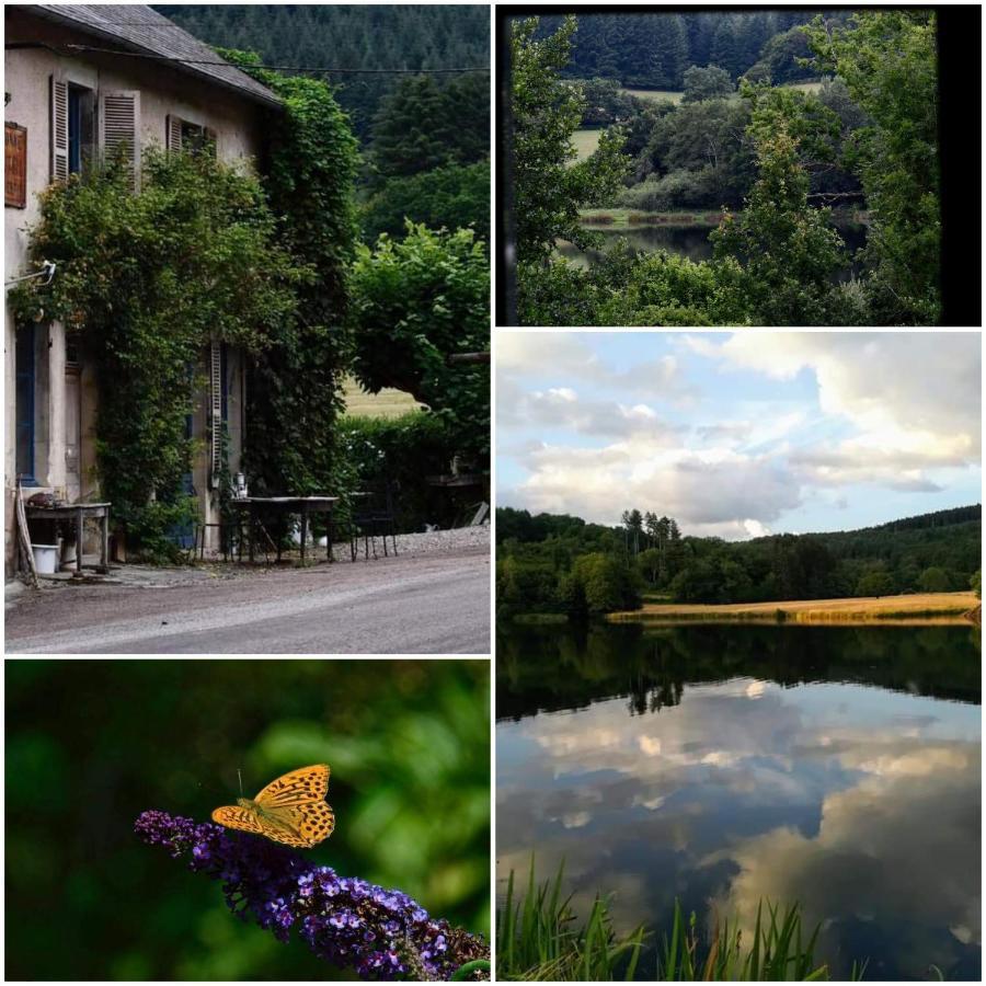 Chambres D'Hotes A L'Etang D'Yonne Arleuf Bagian luar foto